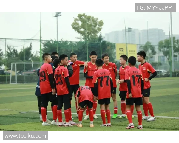 足球越墙的魅力与挑战探索球场之外的无限可能与激情