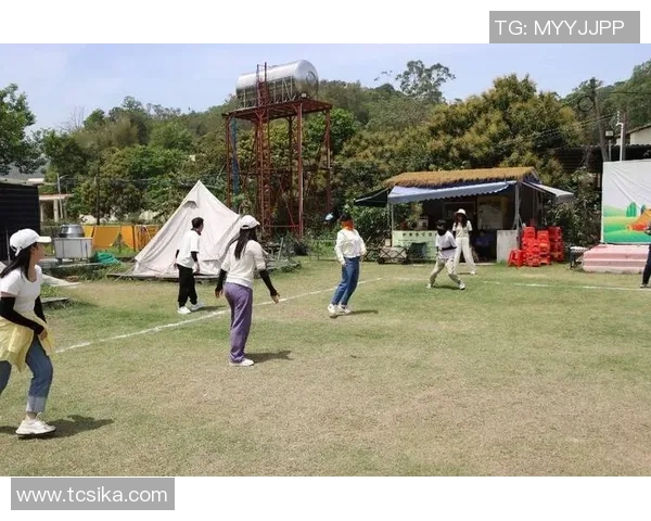 飞盘盛宴:深入了解深圳飞盘队的团队协作与竞技精神